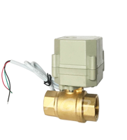 2-Way Brass Ball Valve With Electric Actuator