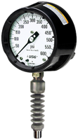 Sta-Kool™ Cooling Element Process Gauge Accessory