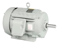 Automotive Duty Motors