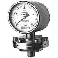 91/SE 100 mm Schaffer Diaphragm Gauge