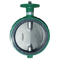 NE-C/NE-I/NE-D/NEI-T DEMCO Butterfly Valve