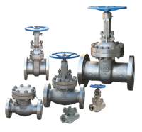 NEWCO Stainless Steel Gate, Globe & Check Valve