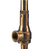 Cash Valve Type C-776 Safety Valves