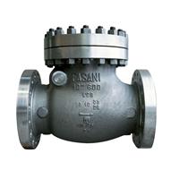 Fasani Bolted Bonnet Check Valves