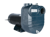 FBSE Series Close-Coupled Self-Priming Pump