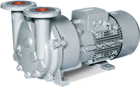 L-BV5 Liquid Ring Vacuum Pumps