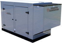 SP-250 Series Commercial Gas Generator