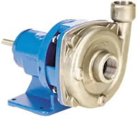 ICS/ICSF Stainless Steel Pumps