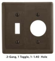 Combination Wallplates - 2 Gang