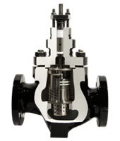 Series G110 Globe and Angle Valves