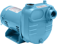 BE Series Effluent Pump