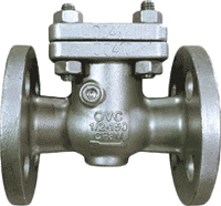 Class 150 Stainless Steel Check Valve #SS150CK