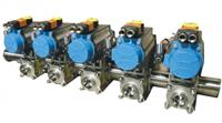 Fabflex® Manifold Assembly (Sanitary)