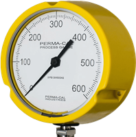 High Performance Process Gauges