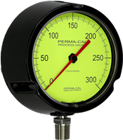 Ray Series Process Gauges 