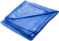 Blue Tarp