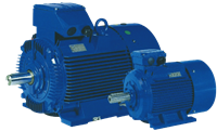 Standard Efficiency Induction Cast Iron Motors