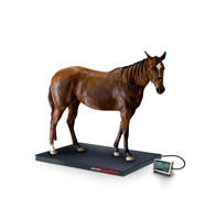 RoughDeck® EQ Equine Floor Scale and Indicator Package