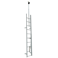 30' Extended Top Ladder Climb System, Complete Kit