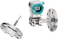 Flange Design Fixed Connection and with Capillary Diaphragm Seals