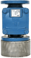 FVCEXF125 Elastic Swing Foot Valve