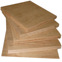 CSP Spruce Standard Sheathing Plywood