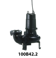 B Series Sewage Pumps