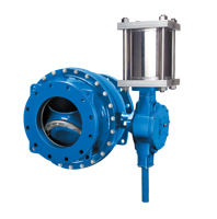 Ener•G®AWWA Ball Valve  