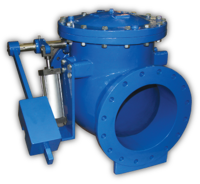 Swing Check Valve