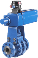 Neles Series D Trunnion Mounted Ball Valve