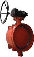 Series W710 AGS Double Eccentric Butterfly Valve