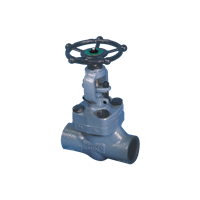 Series 5500 Globe Valve